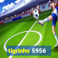 tigrinho 5956